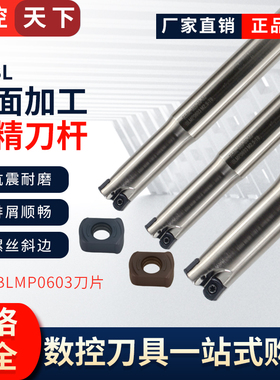 快进给双面铣刀杆TEBL06特固克 BLMP0603R刀片开粗铣面刀杆刀盘