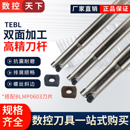 TEBL06快进给双面铣刀杆