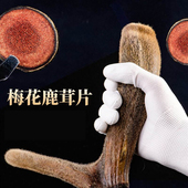 2025年鹿茸片粉血片甄选梅花鹿鹿茸片干片正宗鹿茸特级泡茶红粉片