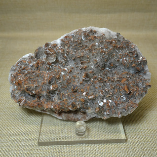 L11天然红色方解石矿物晶体矿标原石摆件观赏石地质教学