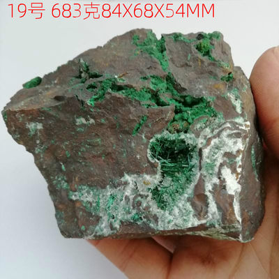 天然氯铜矿原石 矿物晶体N74矿标 矿石 江西城门山 Chlorite