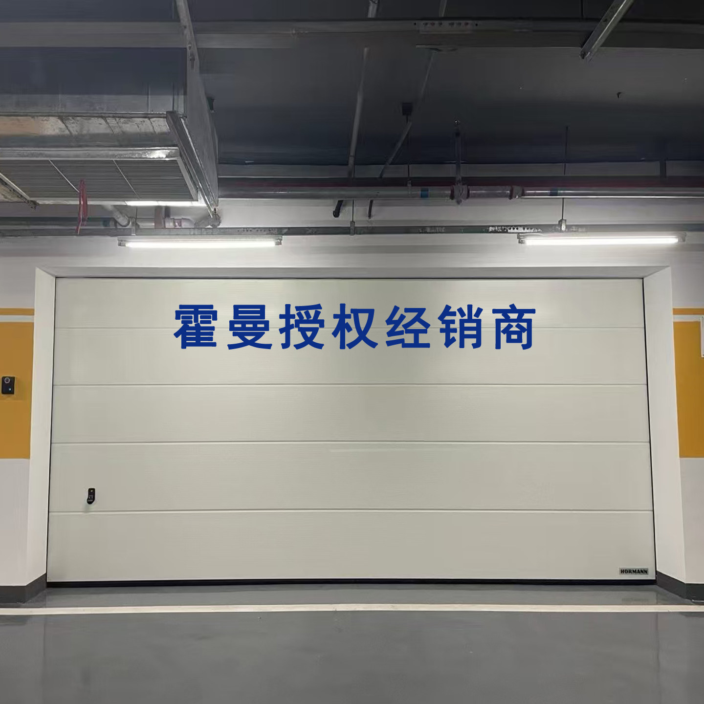 德国霍曼防盗保温隔音方格钢质提升翻板电动车库门别墅定制