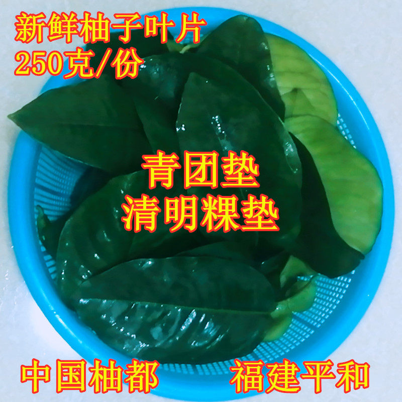 新鲜柚子叶去晦气转运祈福碌柚叶做叶儿粑青团垫清明粿垫一份包邮