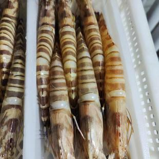 350克 盒 蒸煮炒煎 6头装 海鲜菜菜海鲜野生冷冻九节虾斑节虾5