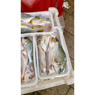 菜菜海鲜 海捕杂鱼去鳞去内脏 400克一盒