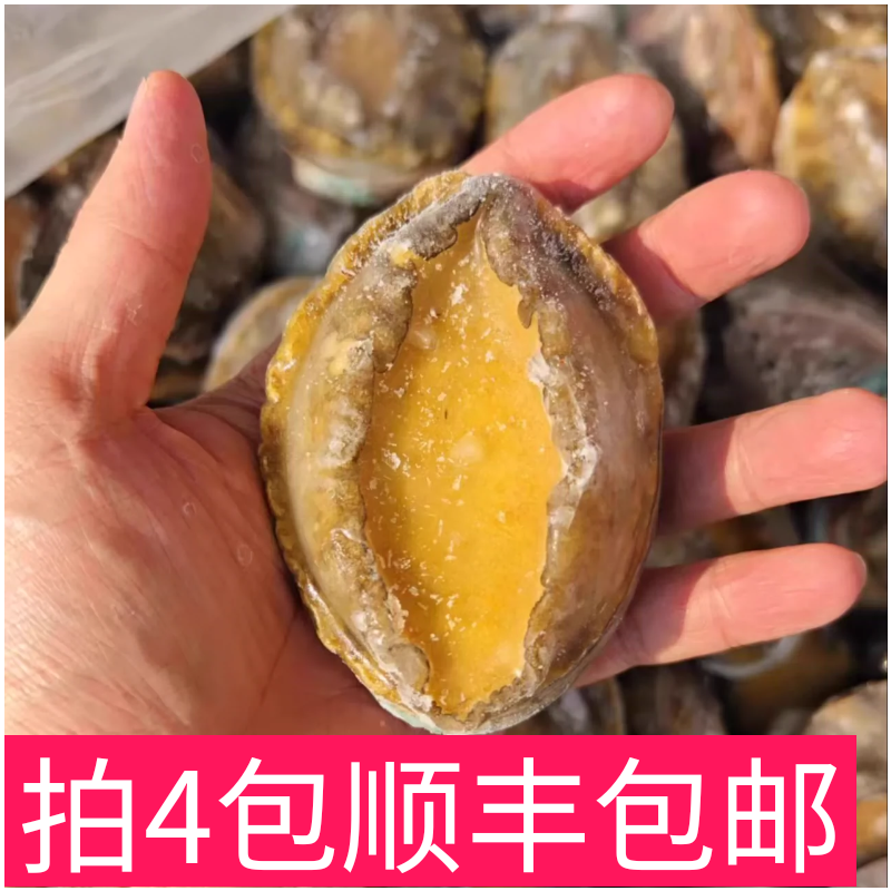 菜菜海鲜 活冻7个装鲍鱼  400克/包  4包包邮,水产肉类/新鲜蔬果/熟食,鲍鱼,淘宝优惠券,粉丝福利购,淘宝优惠卷