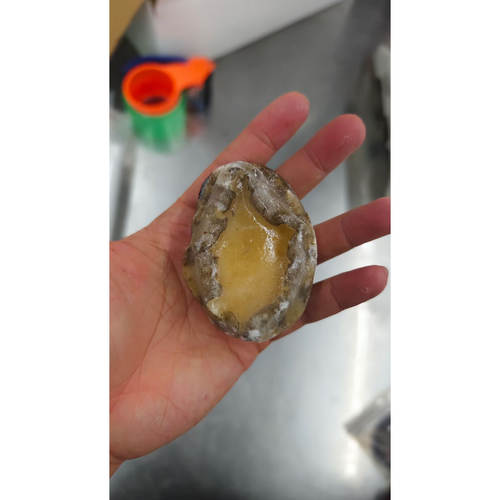 菜菜海鲜 活冻7个装鲍鱼  400克/包