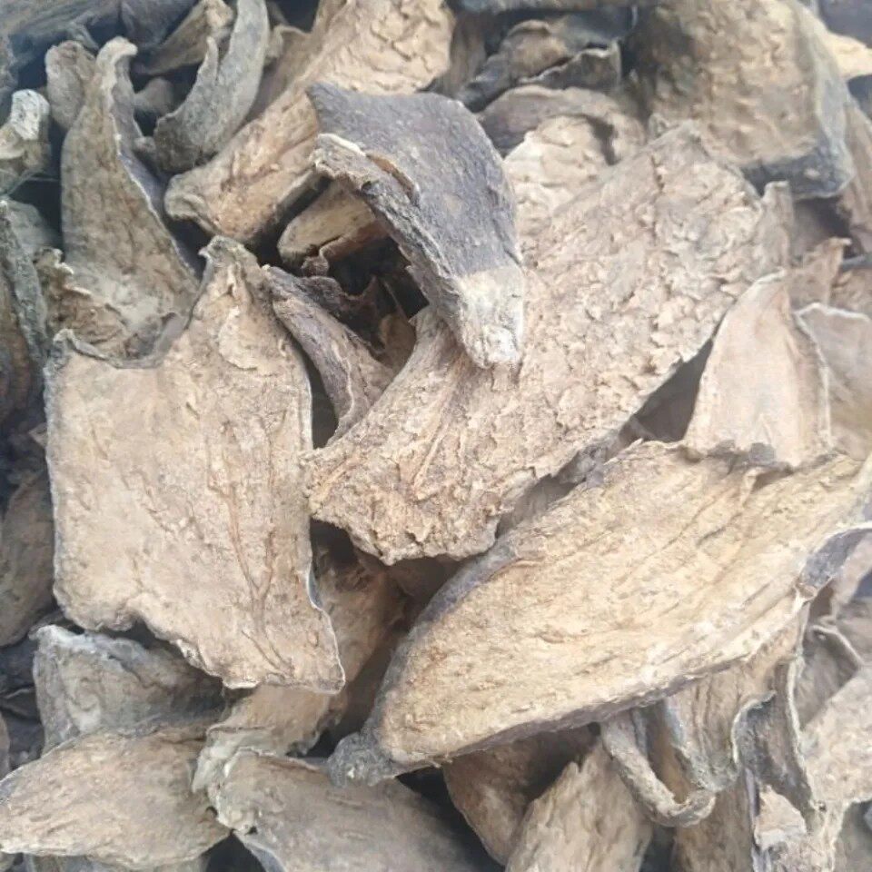 天然青草石猪肝 石马蹄 双座莲 干货500g包邮