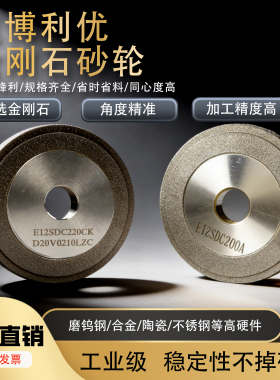 铣刀研磨机砂轮 钻石钨钢砂轮 蓝博利优专用E12SDC220W高精度研磨