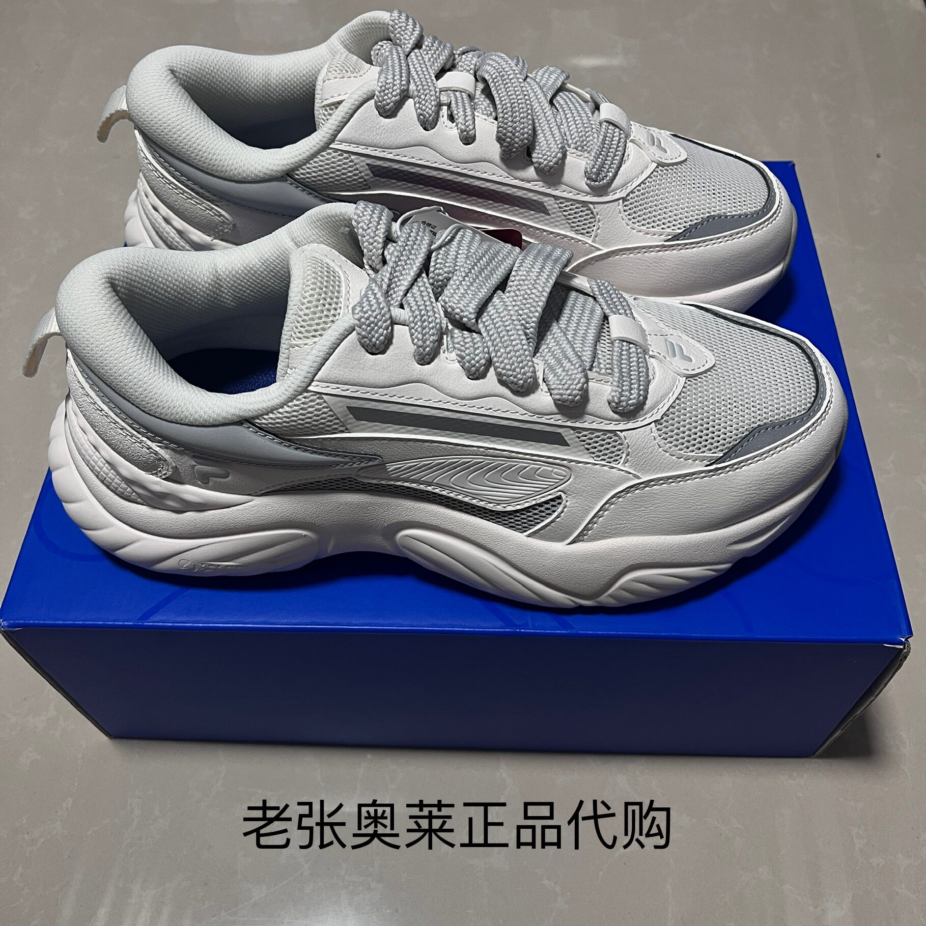 斐乐斐乐奥莱折扣店男款海螺鞋运动鞋T12M431501
