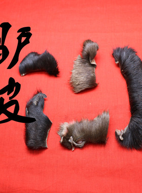 居家民俗祈福摆件真品正宗黑驴皮驴毛3至4厘米一件19元包邮无染色