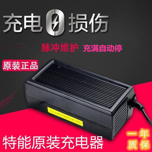 特能电动车充电器充电器原装