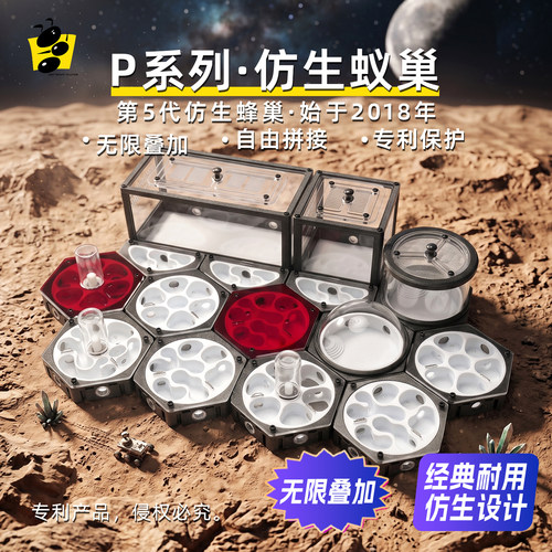 3D打印蜂巢六角平面蚁巢蚂蚁空间