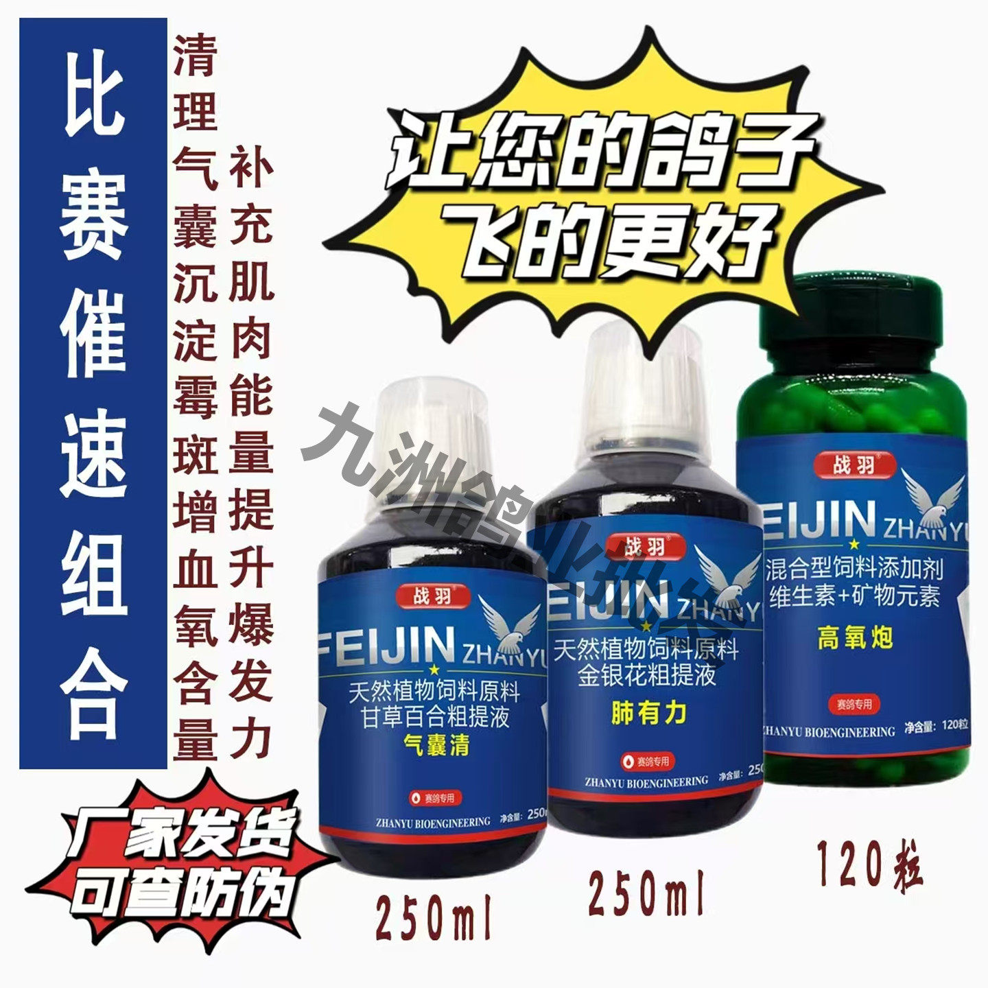 战羽气囊清肺有力高氧炮赛鸽比赛