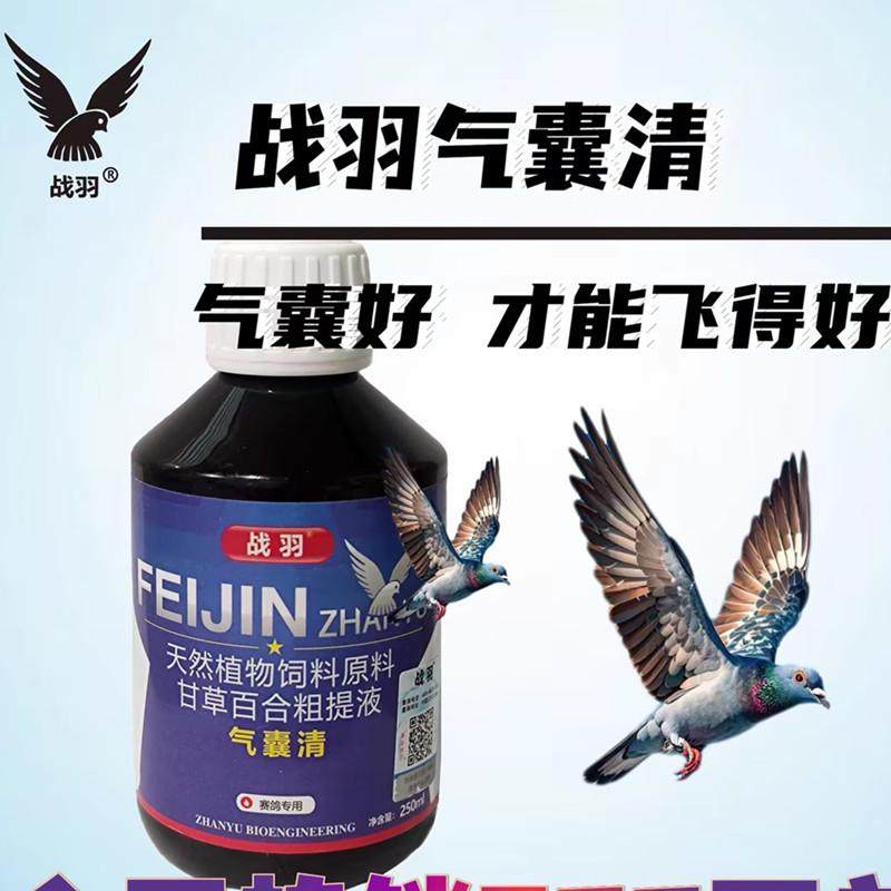 战羽气囊清赛鸽飞不高张嘴飞