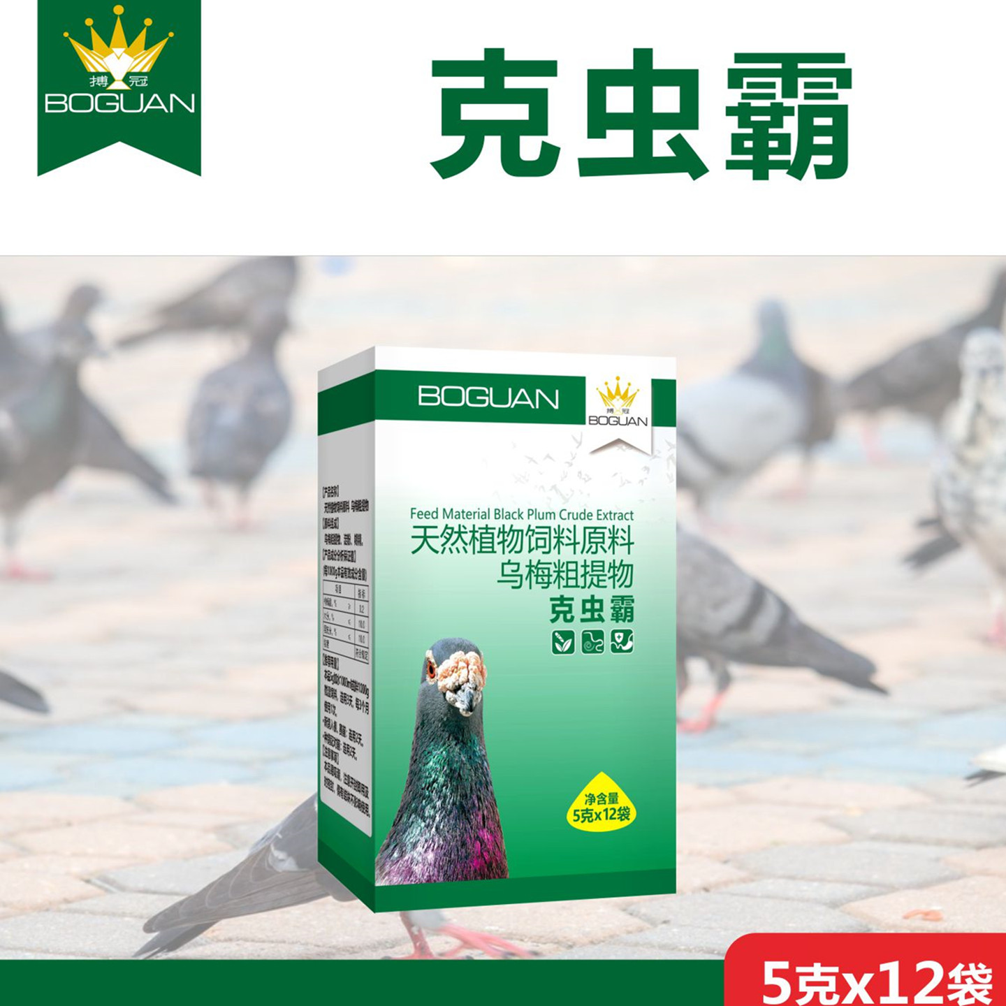 搏冠克虫霸粉赛鸽种鸽幼鸽子保健