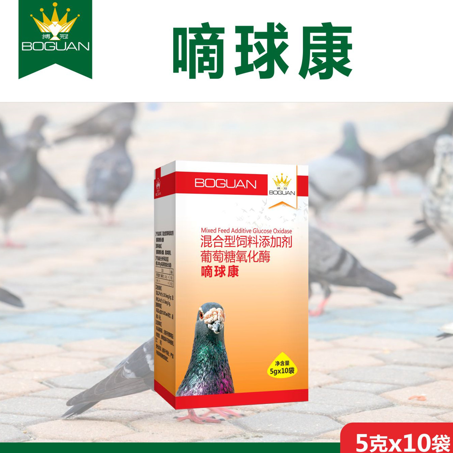 搏冠3号粉滴嘀球康赛鸽球毛滴