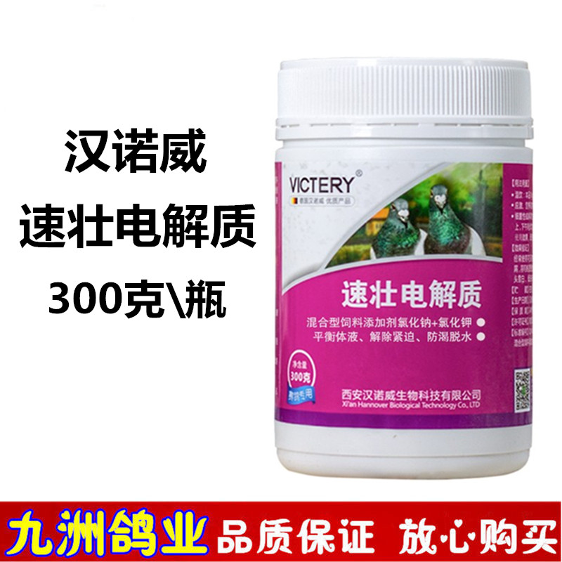 速壯電解質鴿用品漢諾威鴿電解質