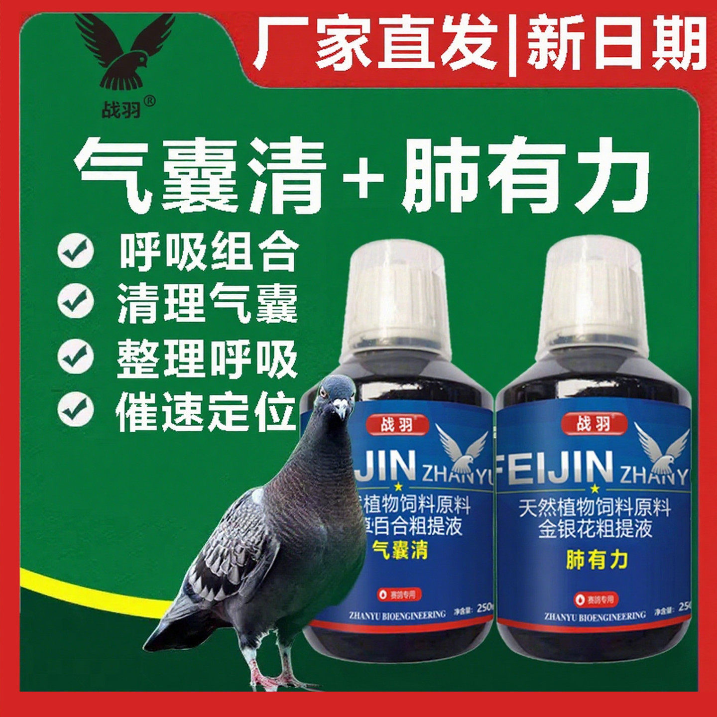 战羽气囊清肺有力赛鸽子清呼吸道