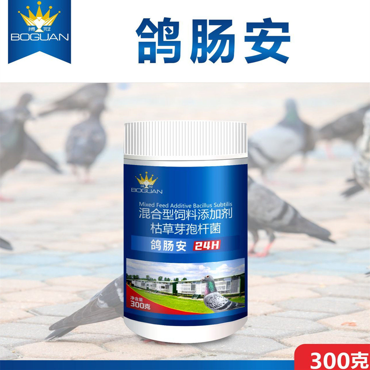 搏冠鸽肠安300g信鸽用品赛鸽肠道调理拌料水便绿便鸽子保健非鸽药