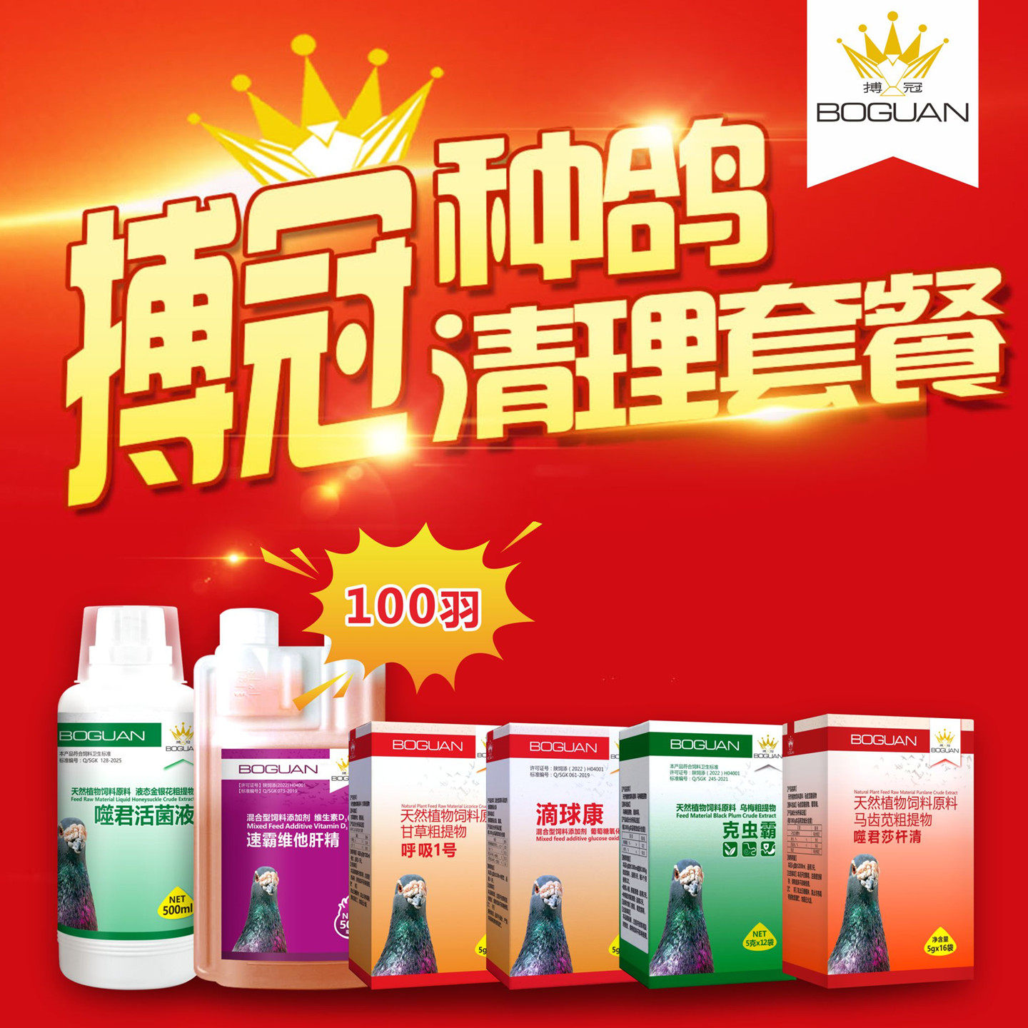 搏冠种鸽调理套餐100羽 信鸽用品赛鸽清呼吸道肠道肝精活菌非鸽药