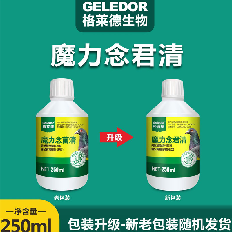 魔力念菌清鴿用品格萊德賽鴿口黃