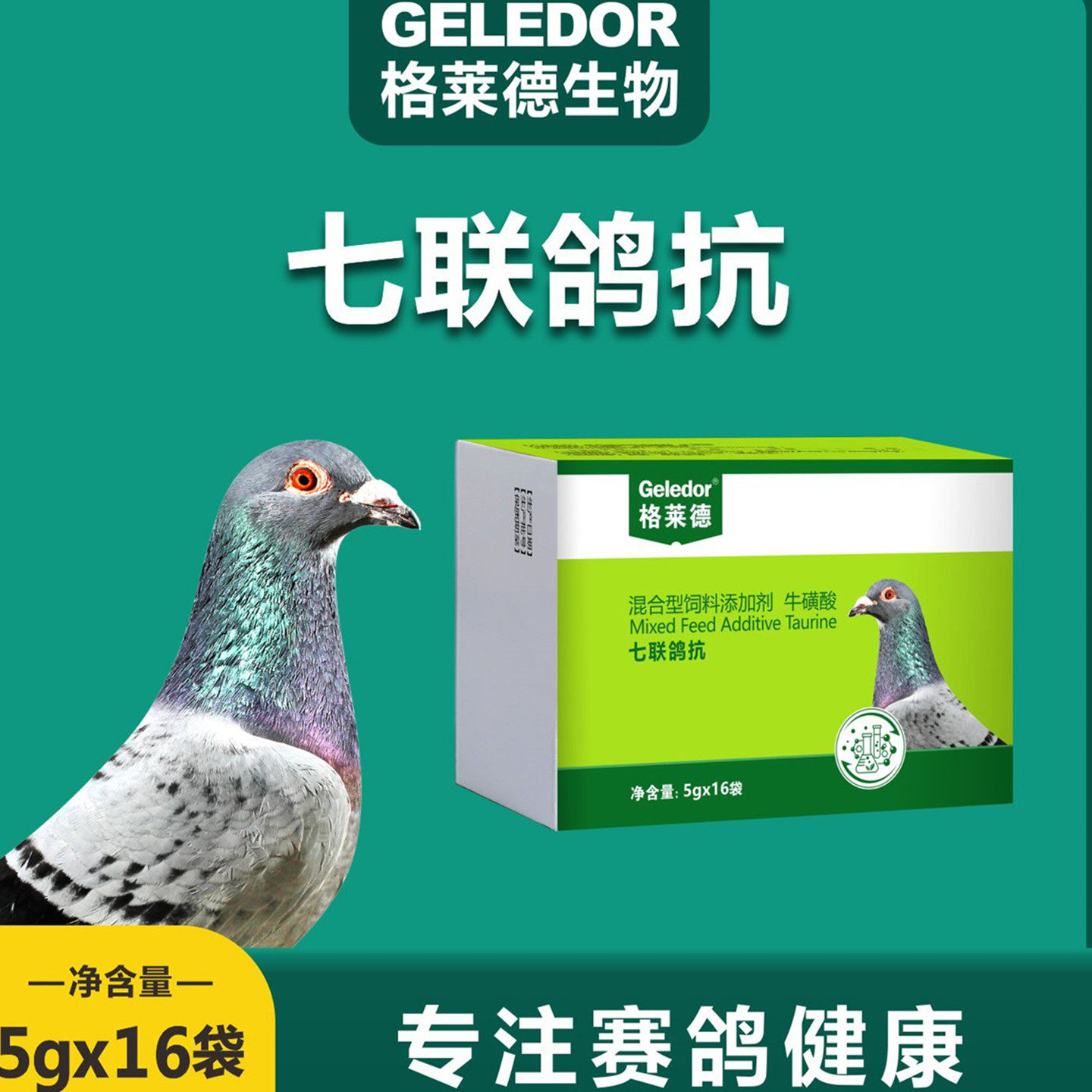 格莱德七联鸽抗粉赛鸽饮水保健