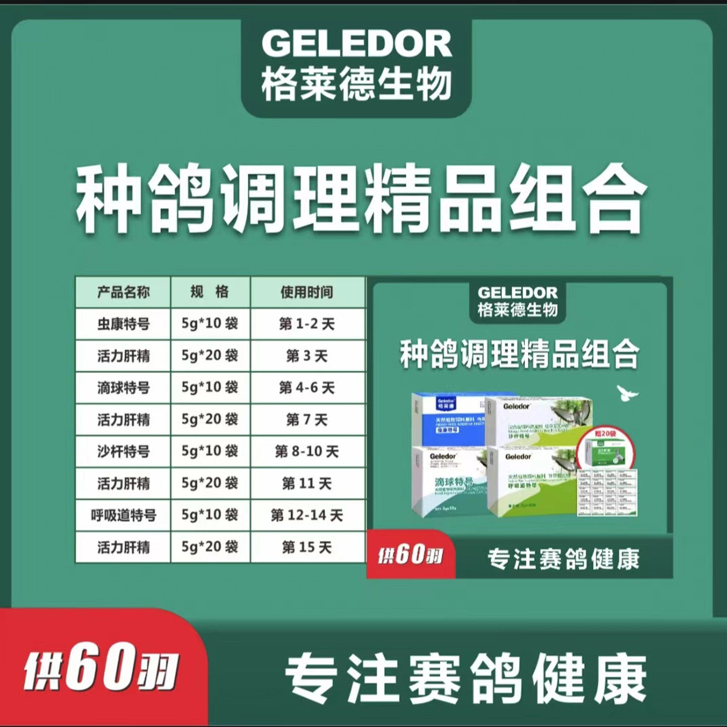 格莱德赛鸽种鸽调理套餐60羽使用