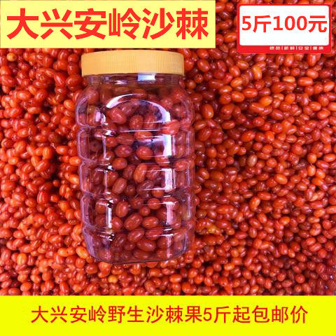 黑龙江大兴安岭精选大果颗粒沙棘果深秋红做酵素专用5斤包邮