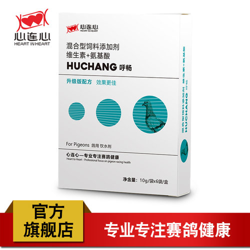 心连心鹦鹉鸟鸽子呼畅