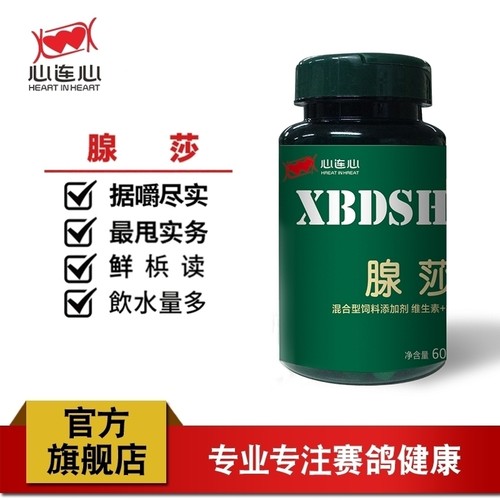 心连心鸽子鹦鹉鸟用腺莎