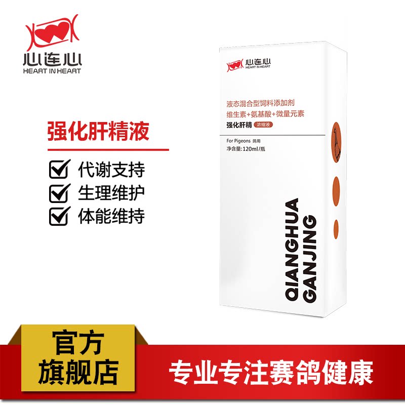 心连心鸽药大全信鸽鸽用调理肝肾健康明目强化肝精浓缩液