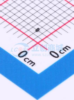 ESDBU3V3AE1 DFNWB-2L(0.6x0.3) 静电和浪涌保护(TVS/ESD) 全新原