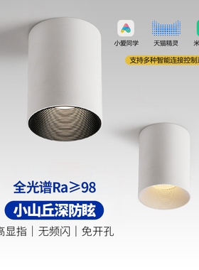 全光谱无主灯明装cob射灯防眩背景墙小山丘免开孔led接入米家智能