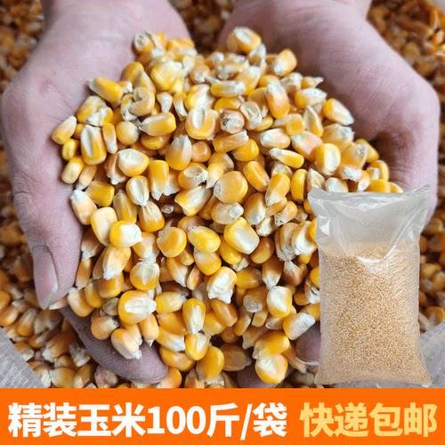 干玉米粒喂鸡批发100斤养鸡碎玉米便宜饲料苞米鸭鹅家禽养殖专用