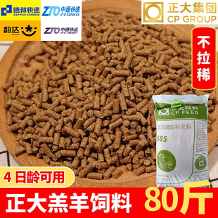 正大585羔羊饲料开口料小羊羔专用颗粒饲料喂羊断奶育肥增肥80斤