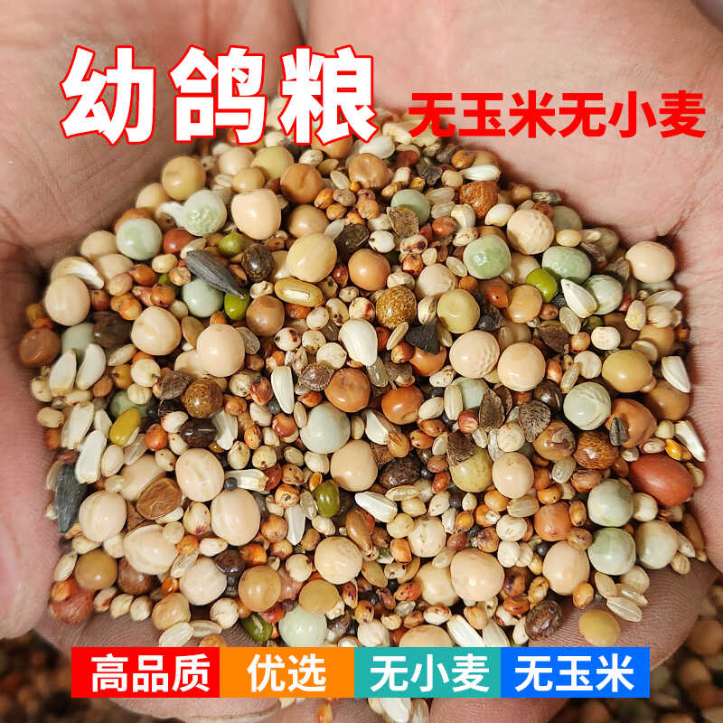 鸽粮无玉米小麦幼鸽饲料鸟食信鸽观赏鸽肉鸽营养粮食鸽粮幼鸽50斤