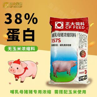 正大157s哺乳母猪浓缩料38%高蛋白无玉米母猪饲料专用多奶宝80斤