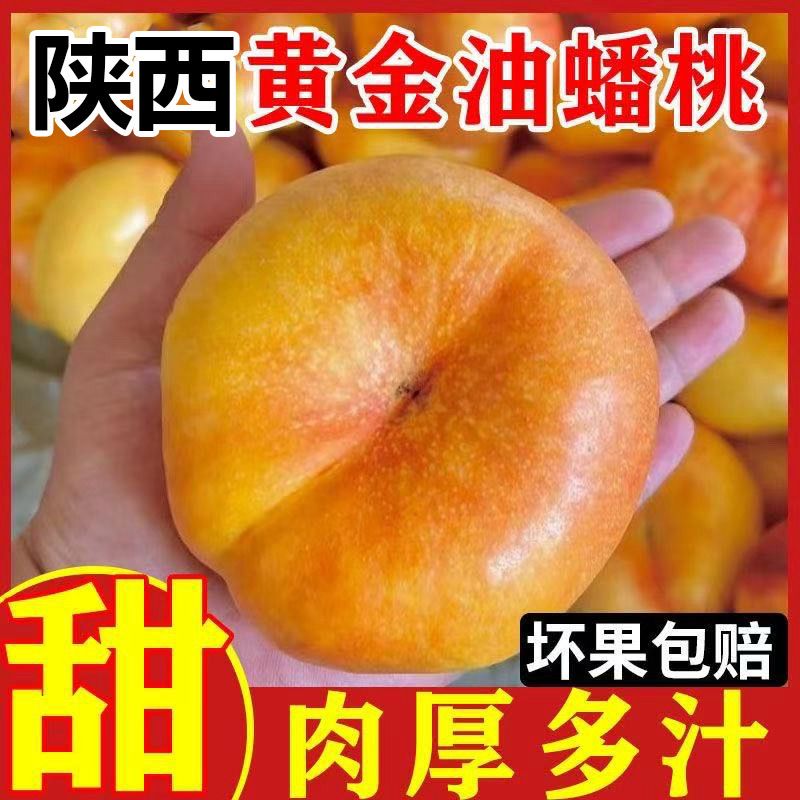 正宗陕西油蟠桃新鲜水果现摘现发当季孕妇黄金油蟠桃爆甜彩虹蟠桃