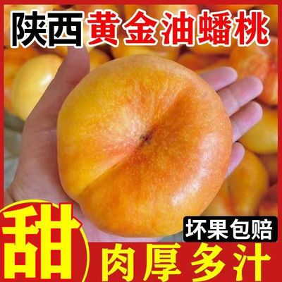 正宗陕西油蟠桃新鲜水果现摘现发当季孕妇黄金油蟠桃爆甜彩虹蟠桃