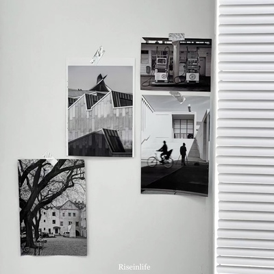 RISEINLIFE |  万能拍（拍前联系客服）