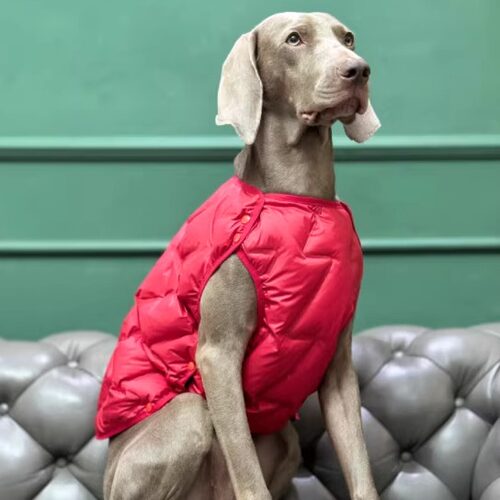 BEOW狗狗羽绒服羽绒背心