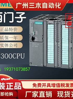 6ES7313-5BF03/5BG04/5BE01/6CF03/6CG04/6CE01-0AB0/4AB1/西门子