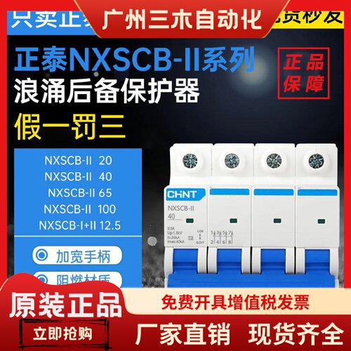 正泰NXSCB-II电涌保护器浪涌保护专用设备前置断路器4P2P防雷器
