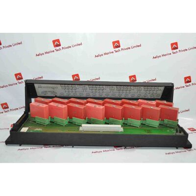 Pannello Di Terminazione Discreto Isolato Rosemount 01984-41