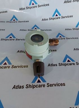 Detcon Microsafe TP-524C Combustible Gas Rilevatore