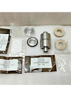 PROSERV 29043 RK 版本 001 SHUTTLE 气门维修套件 1