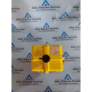 75X M224D Flowserve Attuatore Elettrico 272kg SERIES