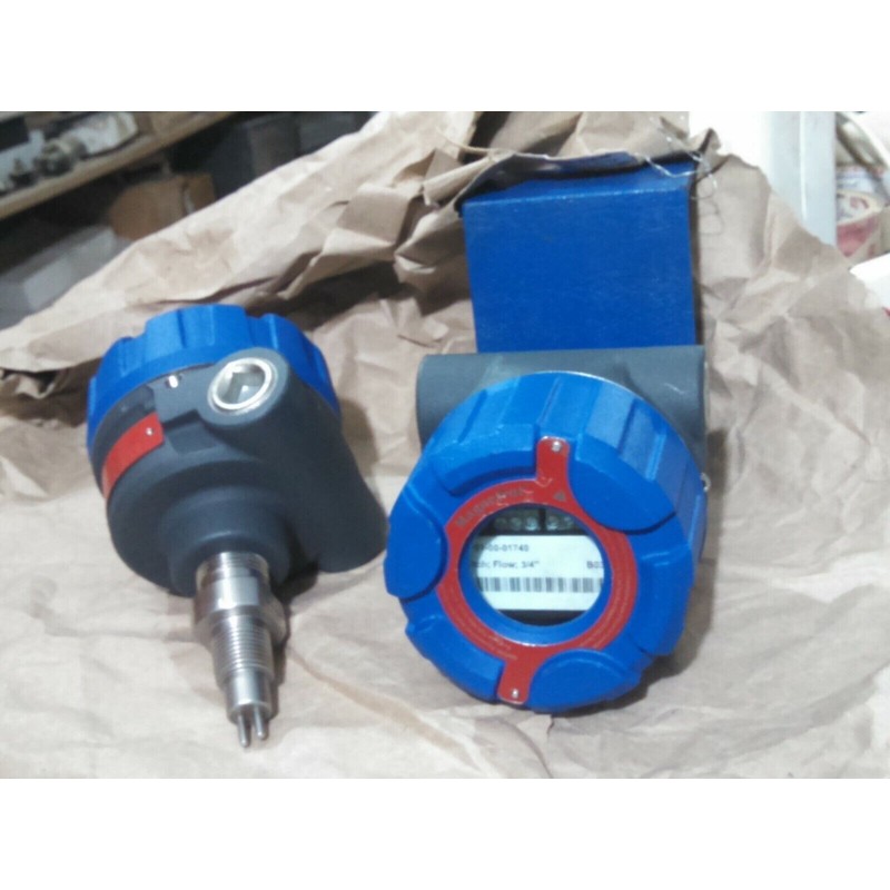Magnetrol TD2 TEM 水平流量开关接口发射器传感器仪表