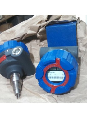 Magnetrol TD2 TEM 水平流量开关接口发射器传感器仪表